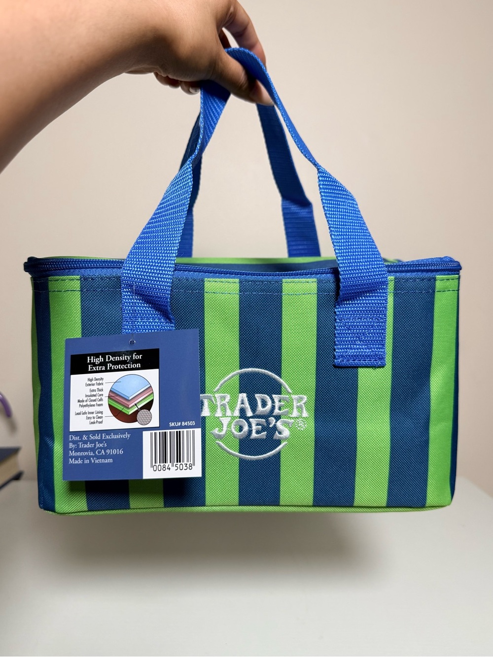 NWT Trader Joe’s mini insulated tote bag blue and green stripes